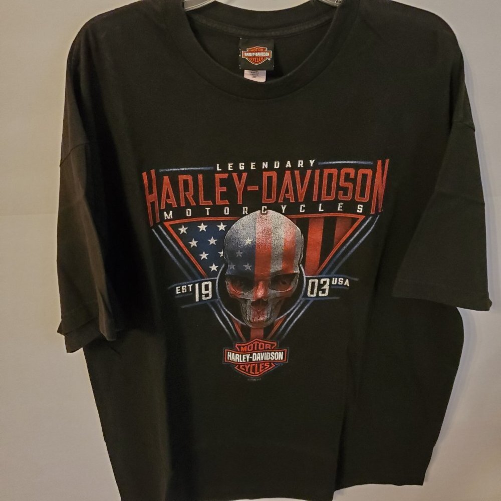 Harley Davidson men's T shirt, short sleeve Size 2X 100% cotton